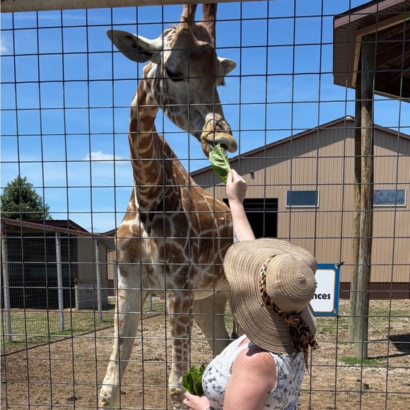 Meet your Posher, Sara - Picture 2 of 5